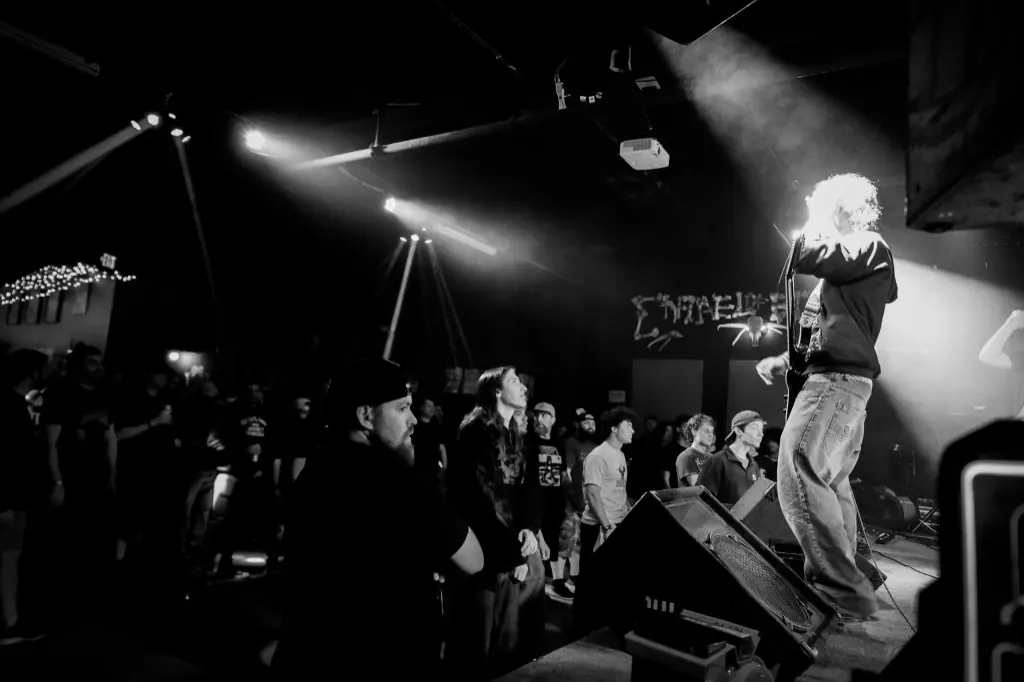 Performer in spotlight with the crowd at the stage edge